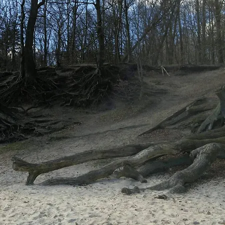 8 Person In Aabenraa-by Traum