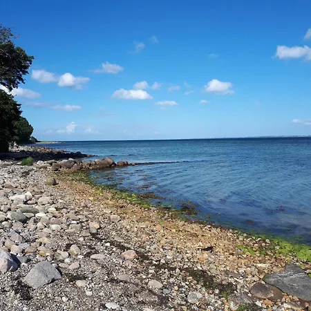 8 Person In Aabenraa-by Traum