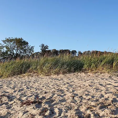 Casa de Férias 8 Person In Aabenraa-by Traum *