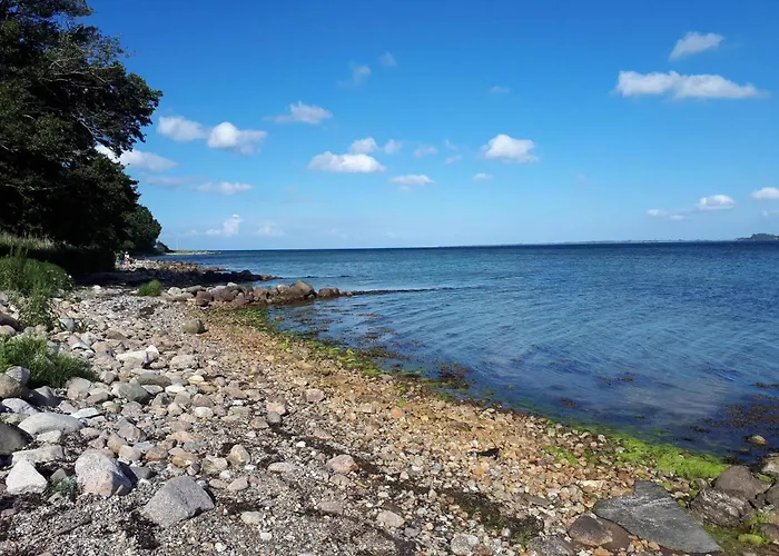 8 Person In Aabenraa-by Traum