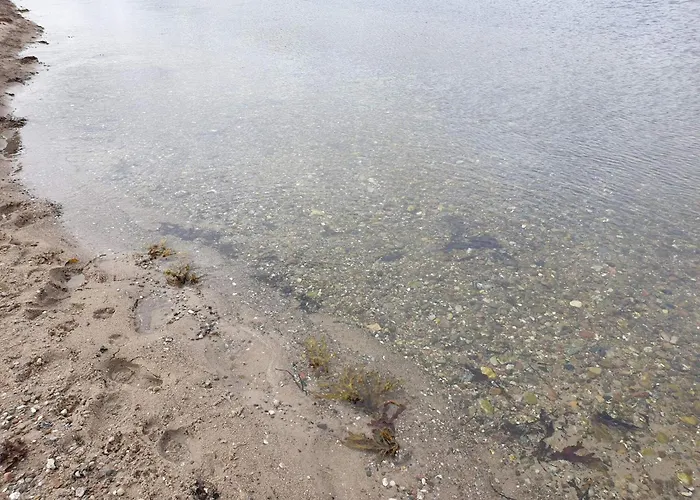 Vakantiehuis 8 Person In Aabenraa-by Traum Aabenraa